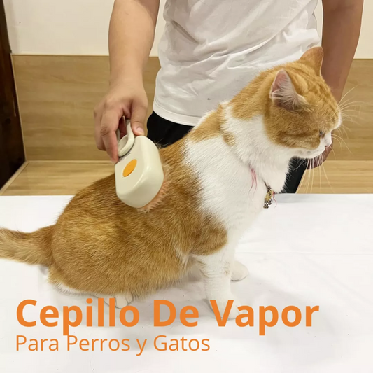 Groomly™ Cepillado inteligente, amor constante; Cepillo +Vapor + Recargable