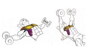 Set de Pesas Ajustables 20 kg – ¡Tu Gimnasio en Casa!