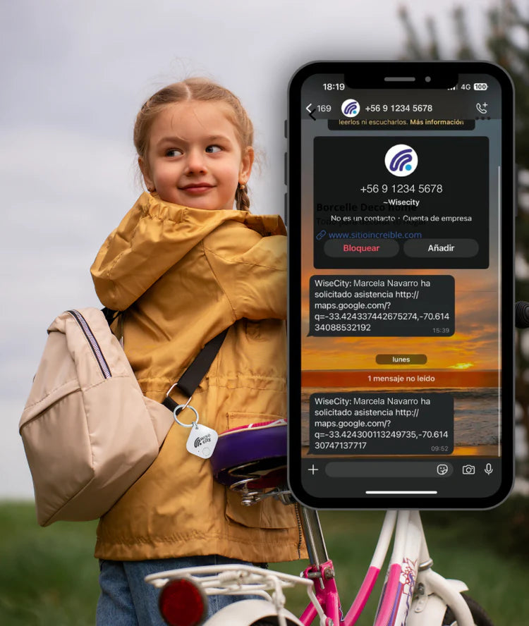 GPS WiseTag Bluetooth