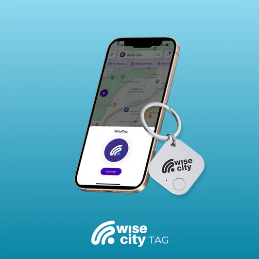 GPS WiseTag Bluetooth